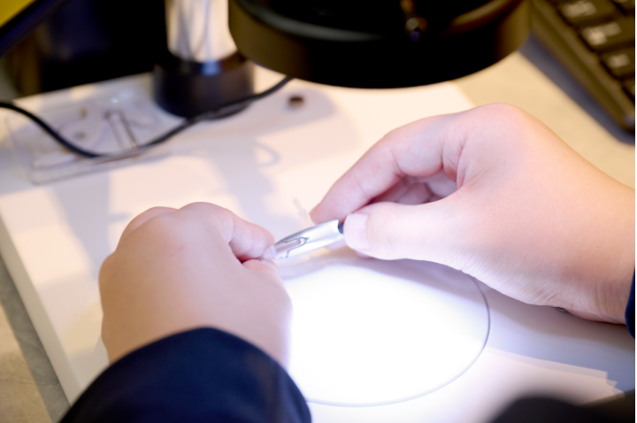 仕事をする様子